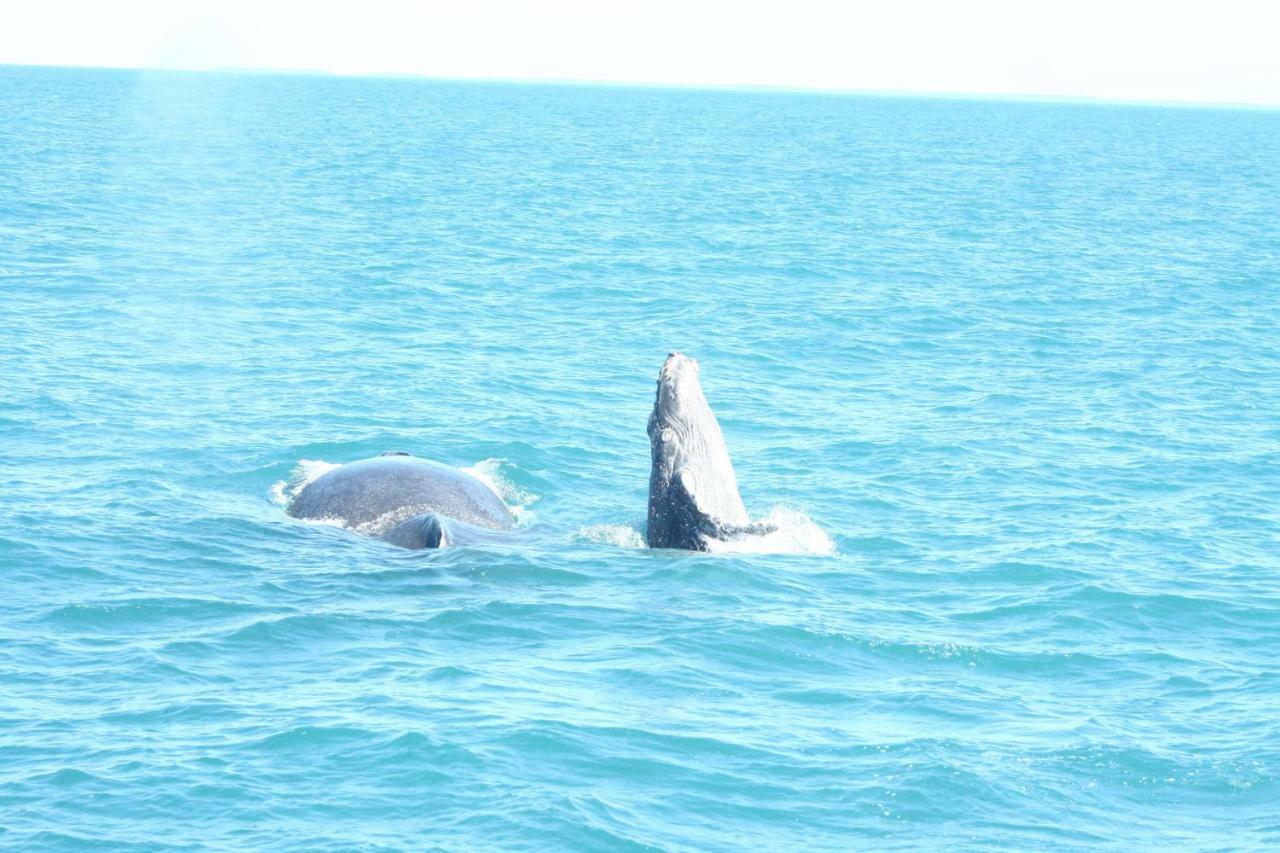 Pousada Areia Preta كوموروكساتيبا المظهر الخارجي الصورة